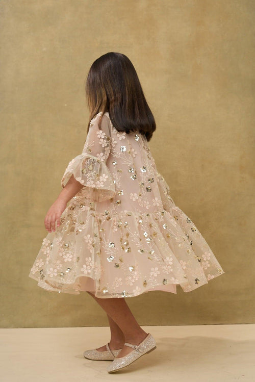 Gold Embroidered Sequin Mesh Dress