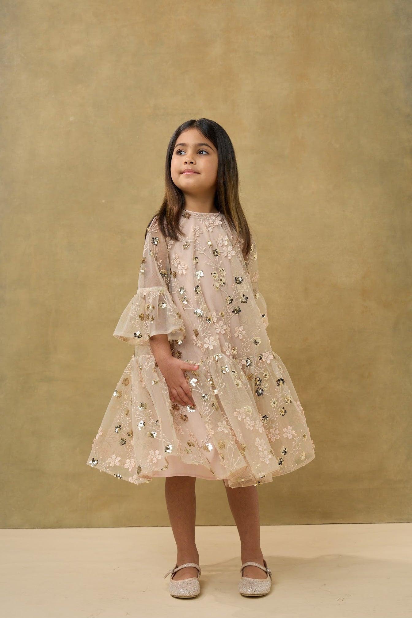 Gold Embroidered Sequin Mesh Dress