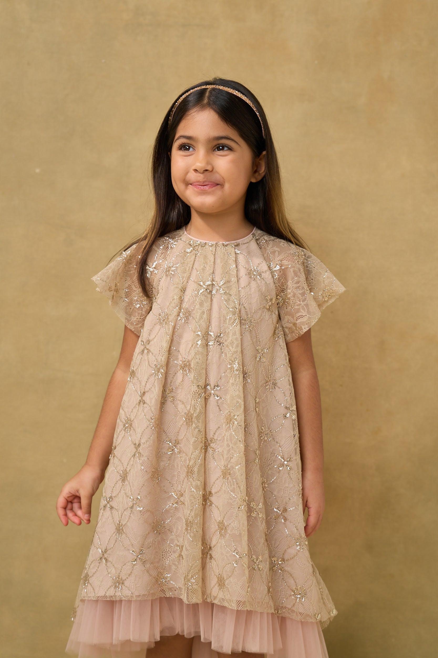 Gold Sequin Lace Mesh Volume Dress