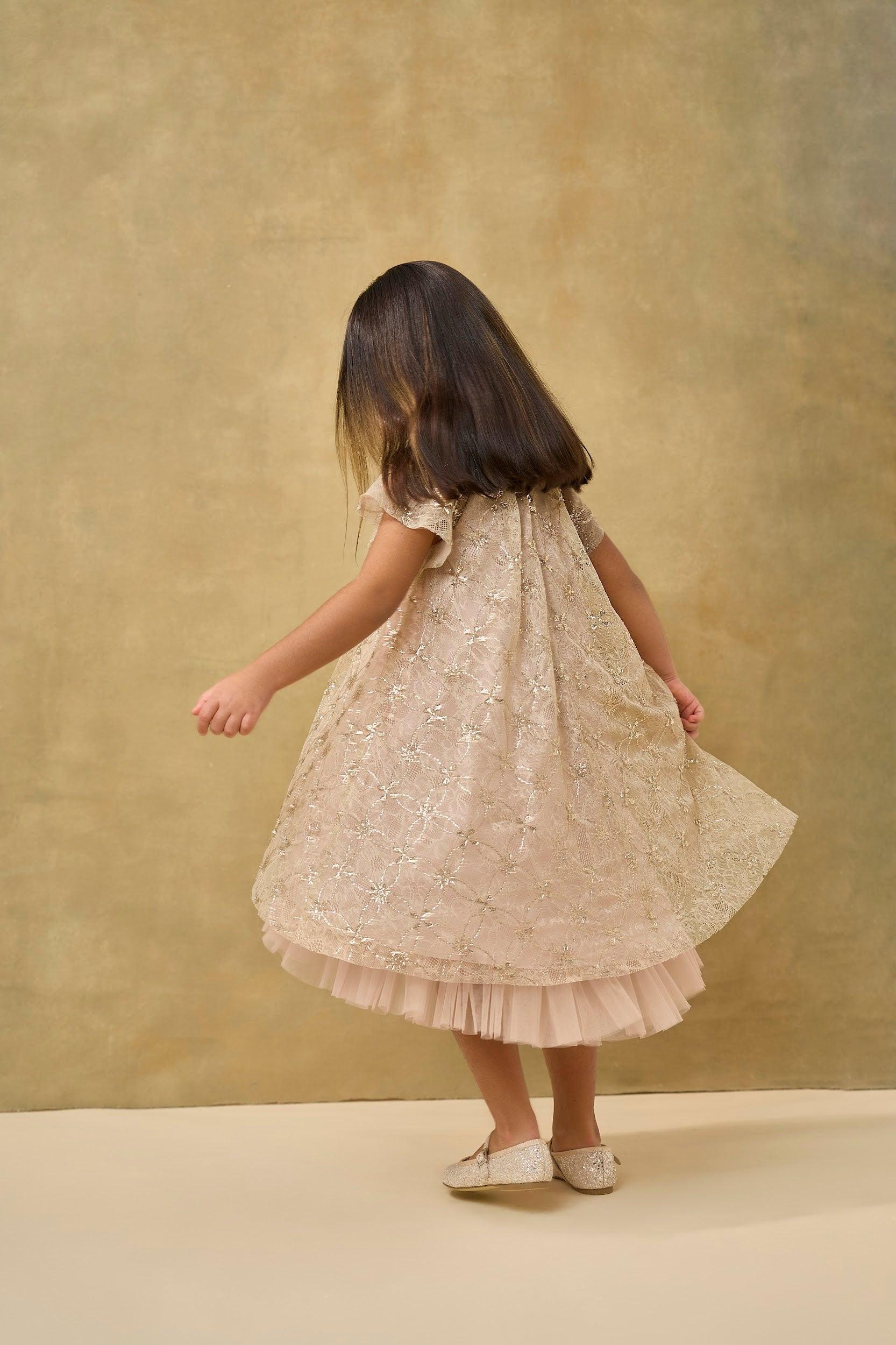 Gold Sequin Lace Mesh Volume Dress