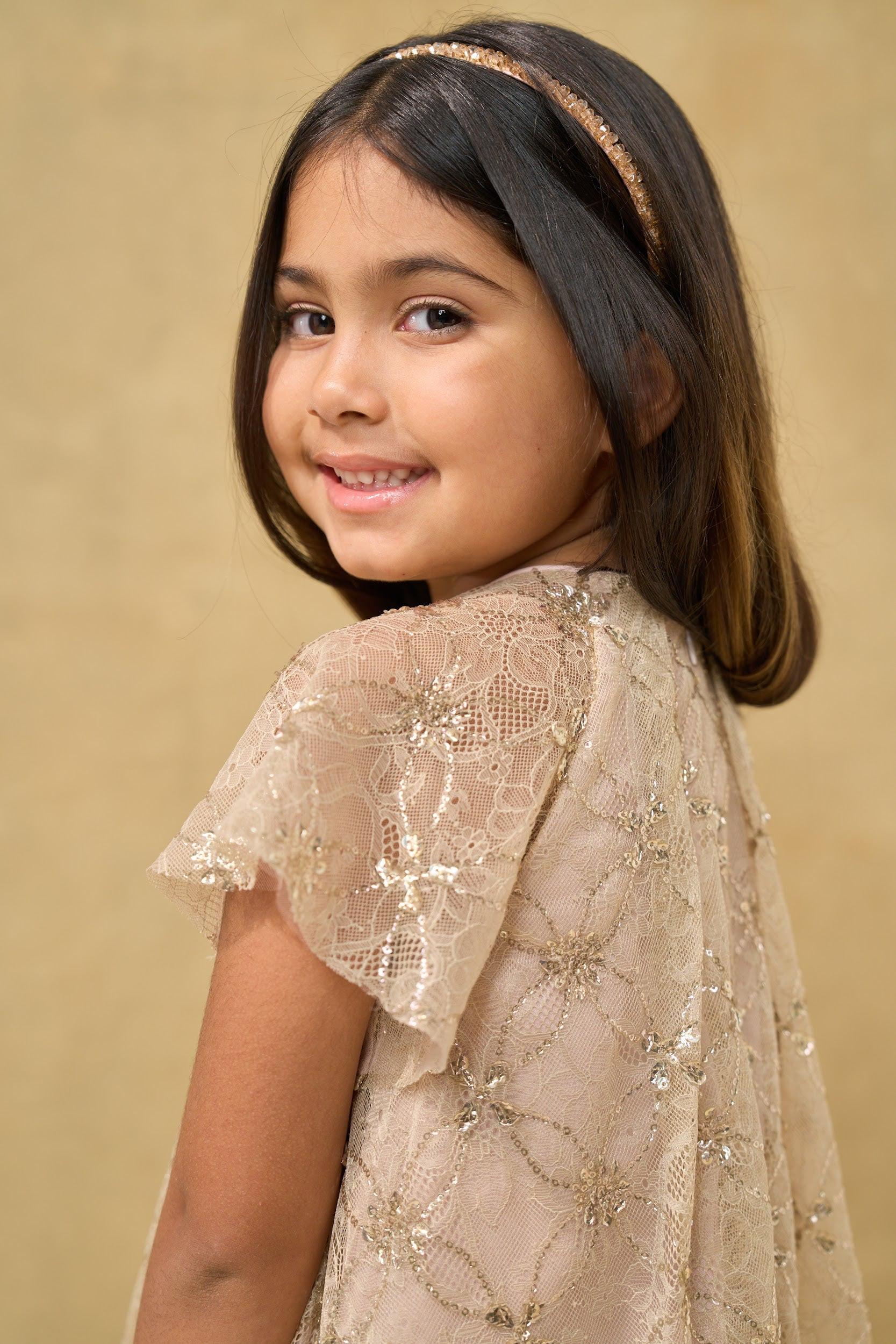 Gold Sequin Lace Mesh Volume Dress