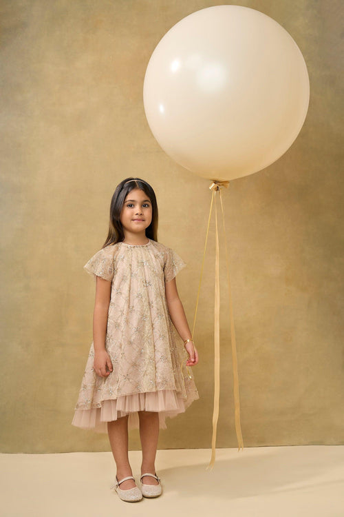 Gold Sequin Lace Mesh Volume Dress